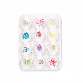 Nageldekorationen SET echte BLUMEN Eclair Nageldekorationen SET echte BLUMEN Eclair